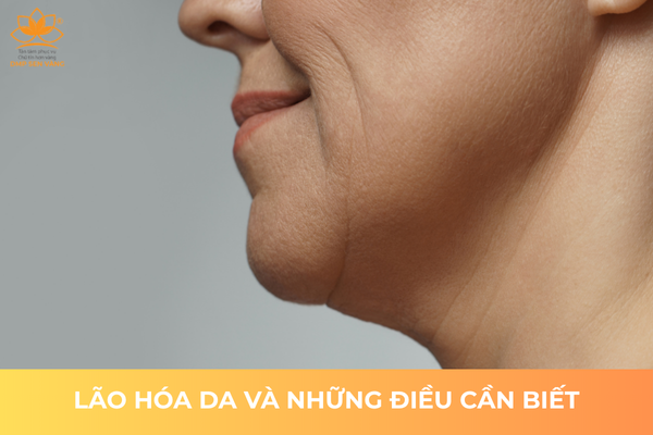 Lão Hóa Da Và Những Điều Cần Biết 